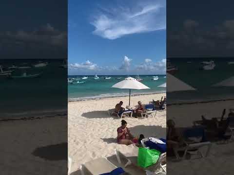Videos del The Reef Coco Beach Resort  Spa 4★ en Playa del Carmen, MéxicoVer MásVerPrecios19CerrarConsulta por Whatsapp 🇦🇷BookingTripadvisorExpediaAgodaTravelocityOrbitzPricelineTripSkyscannerDespegarKayakHotelesBestdayDestiniaTrivagoTurismocityLastminuteHotwireTui