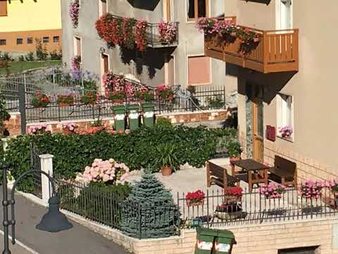 Mansarda Monte Biaena - Ronzo Chienis - Italy