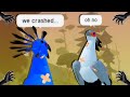 The Plane Crash Story on Feather Family...