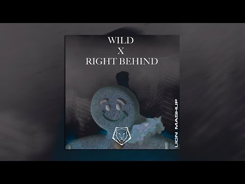 Crime Zcene vs. Blinders - Wild vs. Right Behind (LION Mashup)