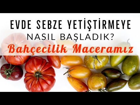 , title : 'Evde Sebze Yetiştirmeye Nasıl Başladık? Şehirden Köye Bahçecilik Maceramız | Balkon Bahçeciliği'