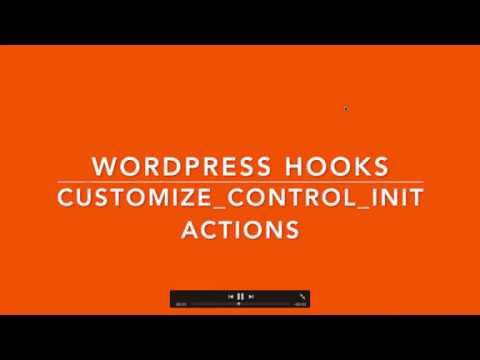 WordPress Hooks Actions customize controls init Part 12 Example