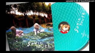 Sonic Youth - the empty page