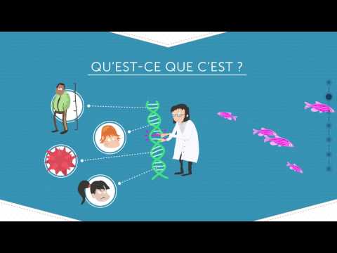 Les OGM - Décod'Actu, saison 1