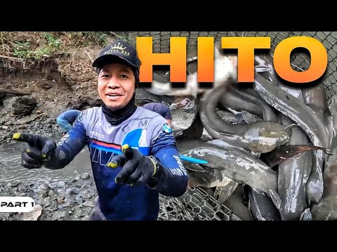 P1 - Nangapa ng Hito sa Ilog - EP1717