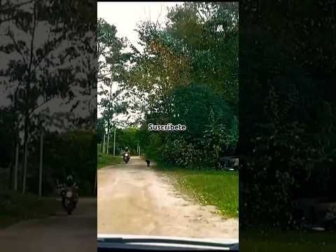 Tour 🚗💚🌿 Remanso de Neptunia, Canelones, Uruguay 🇺🇾