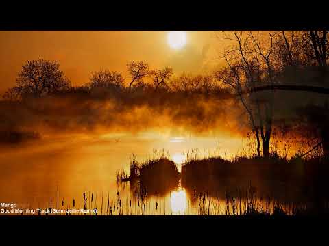 Secret Garden - Hidden Sundays 20 (Progressive Roots) (03-03-2013)