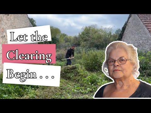 Day 1: Rescuing an Abandoned Historic House from Years of Neglect