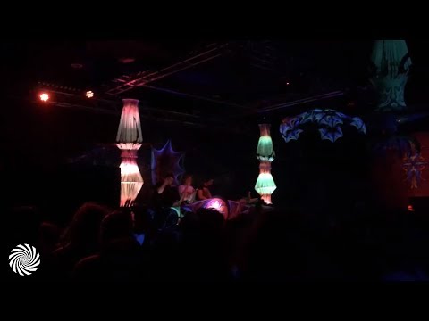 DigiCult vs Tropical Bleyage @ Psy-Fi Warming Up Belgium (February 2019)