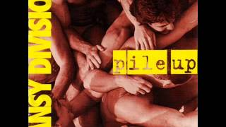 Ring of Joy - Pansy Division