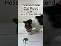 Homemade Cat Food With Holistic Vet Blend Shorts