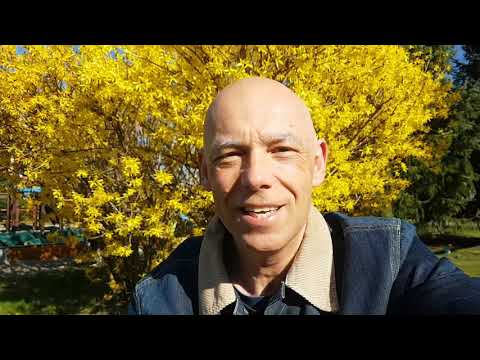 Learn Polish | Podcast o tulipanach RP397