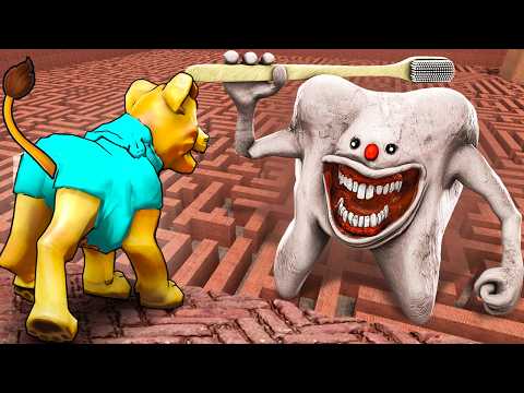 Can INFECTED TOOTH find me in a MAZE?! (Garry's Mod Sandbox)