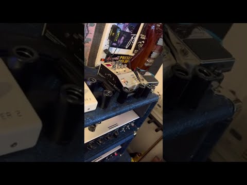 (2) Eric Steckel signature Mezzabarba heads at the LA office.