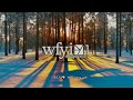 WFYI ID 2013