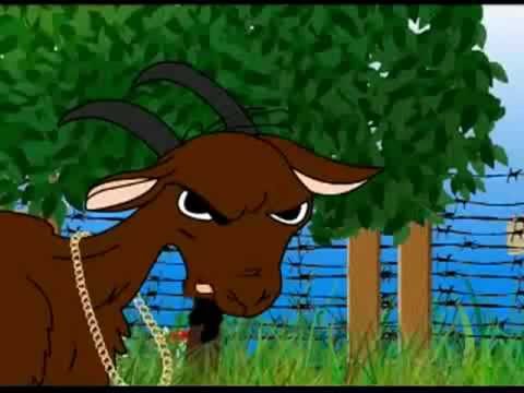 bad goat billy