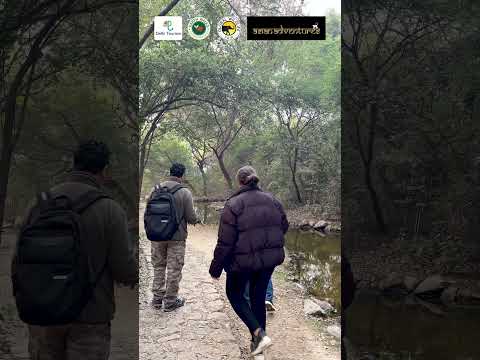 Earth Walks: Where Nature Becomes Therapy | Sunder Nursery Earth Walk