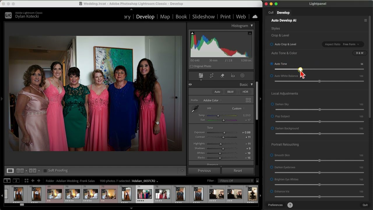 Auto Develop and Batch Processing in Lightroom Classic with Lightpanel