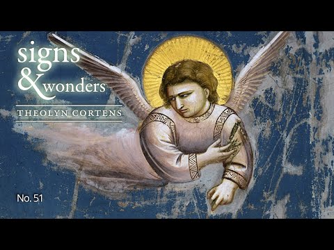 Signs & Wonders no. 51: Bright Shining Angel