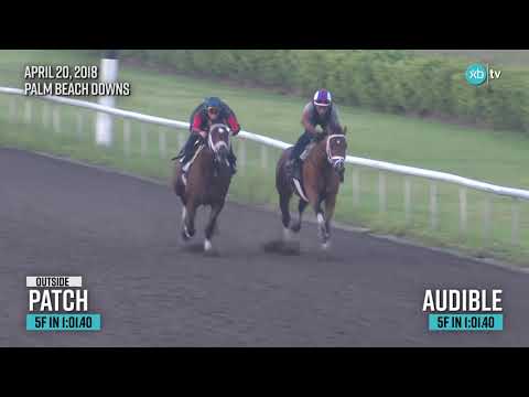 2018 Florida Derby winner Audible works at Palm Beach Downs ahead of the Kentucky Derby