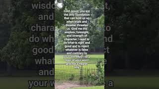 #meditation of the #day #faith #hope #love #catholic #prayer #video #youtubeshorts #jesus #rain