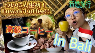 至高のコーヒーをバリで夫と初体験！新婚旅行Ubud in Baliの続きです！