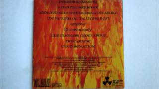 Disharmonic Orchestra - Like Madness from Above