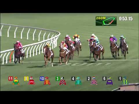 26/1/2022 (371) Circuit Booming - Z Purton