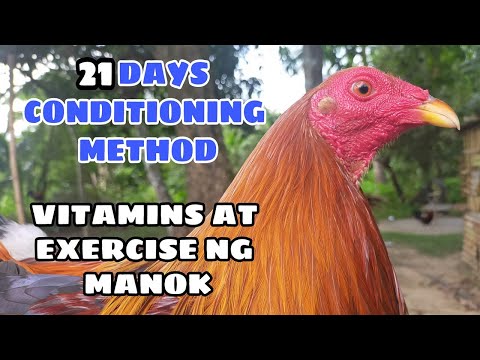 21 DAYS CONDITIONING METHOD! vitamins & exercise ng mga manok || BALERIANS GAMEYARD