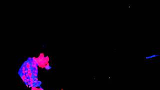 M. Ward- Here Comes the Sun Again (Live)