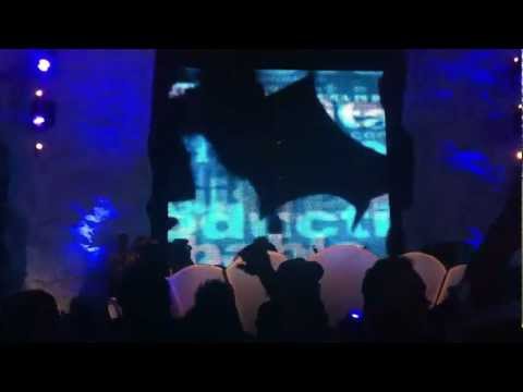 TOMORROWLAND 2012 Digitalism Vs. Tommy Trash - Falling (Tommy Trash Version)