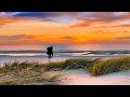 Don't Ever Go (I Need You So Near) - The Tams