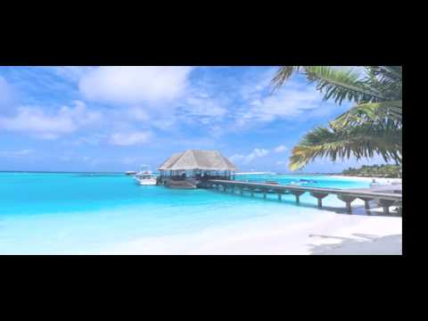 PORNO K & ABO - MILLIONÄR