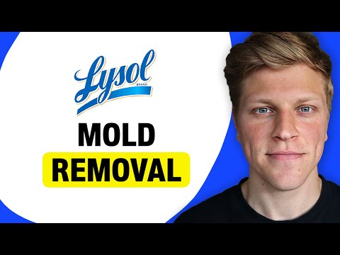 Lysol's Effectiveness in Killing Mold