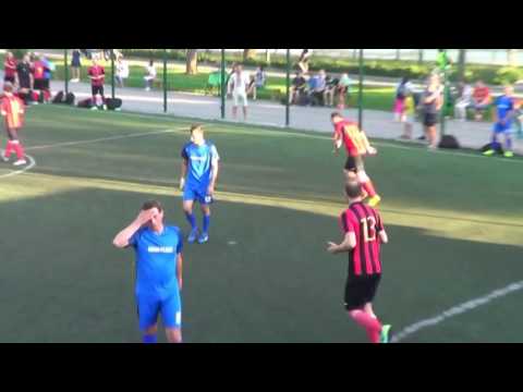 12Angry Bees – Ideal Plast