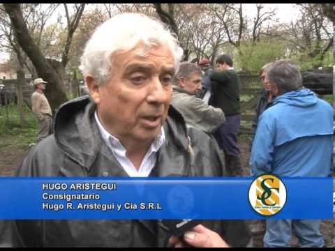 HUGO ARISTEGUI - Hugo R. Aristegui y Cía. S.R.L. - Cacharí - 09/10/2013