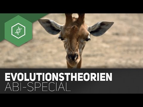 Evolutionary theories in the Abitur - Abitur summary