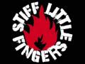 Stiff Little Fingers - What if I Want More?