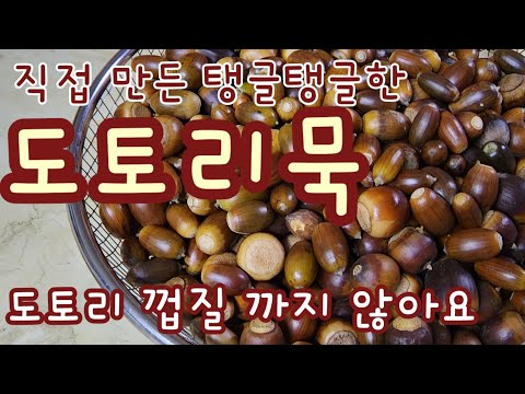 올해 첫 도토리로 도토리묵 만들기  껍질 까지 않고 쉽게 탱글탱글한 도토리묵 만드는 방법