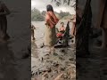 IBU MANDI
