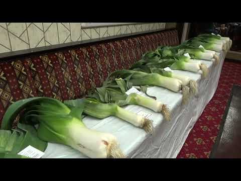 Sunniside Leek Show