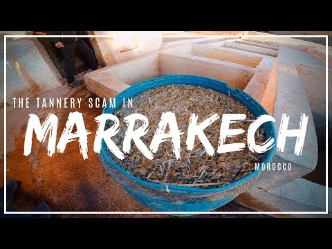 Marrakech Safety: The Tannery Scam!