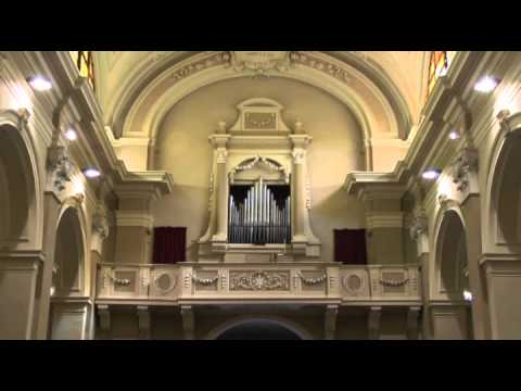 Forlì una città da scoprire (Ita - 15 min) .mp4