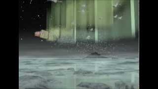 múm - Green Grass of Tunnel [HQ] (Official Music Video) !High Quality!
