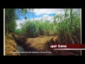 Modeling a Sugar Cane Railroad