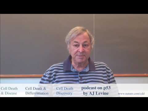 Arnold Levine: a personal view on p53