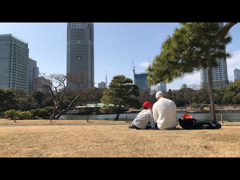 Tokyo’s Traditional Japanese Garden | Hamarikyu