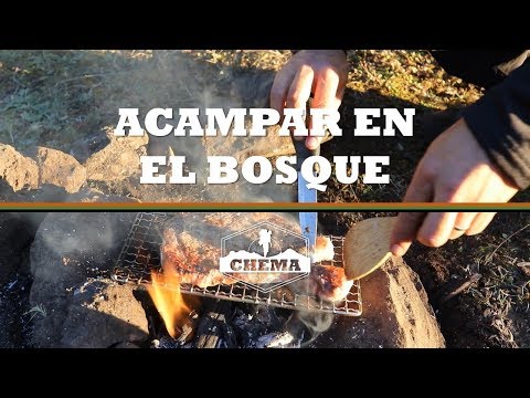 download lagu mp3 mp4 Campamento En El Bosque, download lagu Campamento En El Bosque gratis, unduh video klip Campamento En El Bosque