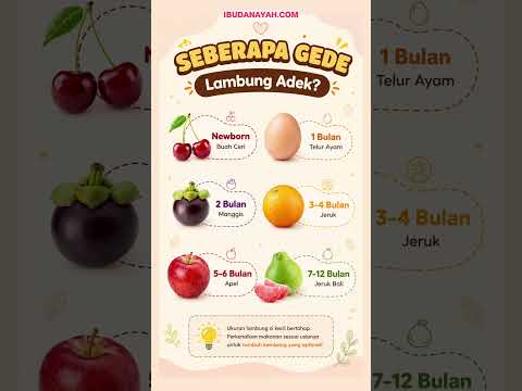 Seberapa Gede Lambung Bayi? Ini yang Bikin Bunda Harus Tahu Sebelum MPASI!  #ibudanayah