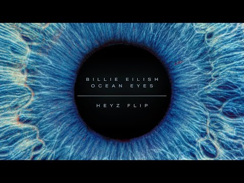 Billie Eilish - Ocean Eyes (HEYZ Flip)